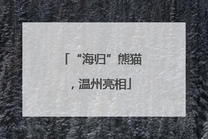 “海归”熊猫，温州亮相