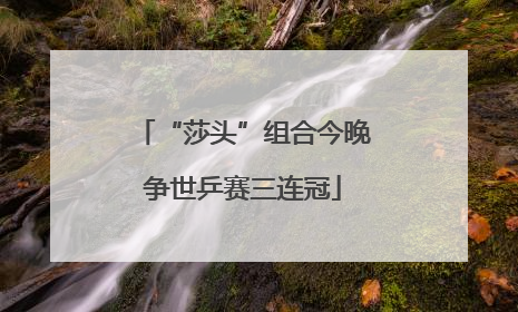 “莎头”组合今晚争世乒赛三连冠
