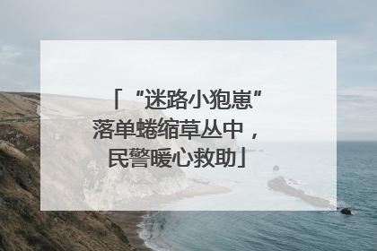 “迷路小狍崽”落单蜷缩草丛中，民警暖心救助