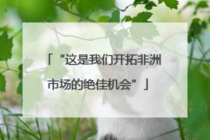 “这是我们开拓非洲市场的绝佳机会”