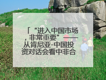 “进入中国市场，非常重要”——从肯尼亚-中国投资对话会看中非合作机遇