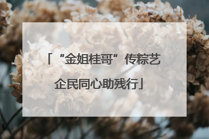 “金姐桂哥”传粽艺 企民同心助残行
