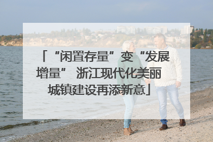 “闲置存量”变“发展增量” 浙江现代化美丽城镇建设再添新意