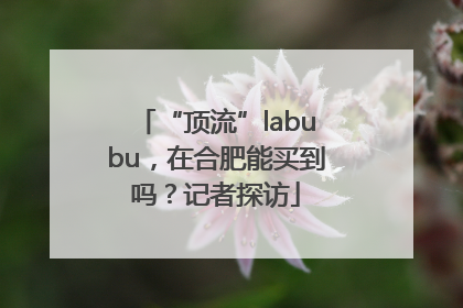 “顶流”labubu，在合肥能买到吗？记者探访