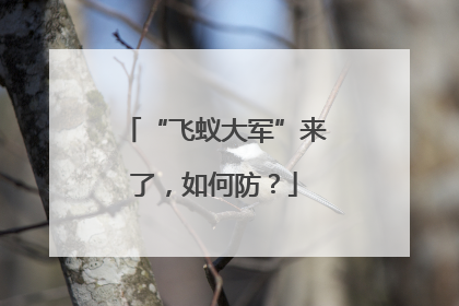“飞蚁大军”来了,如何防?