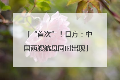 “首次”！日方：中国两艘航母同时出现