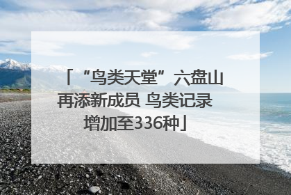 “鸟类天堂”六盘山再添新成员 鸟类记录增加至336种