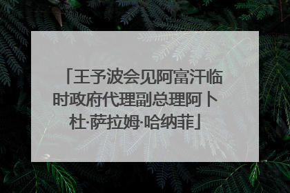 王予波会见阿富汗临时政府代理副总理阿卜杜·萨拉姆·哈纳菲