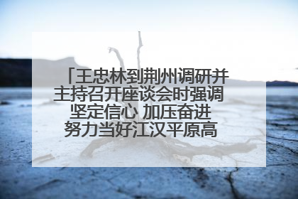 王忠林到荆州调研并主持召开座谈会时强调 坚定信心 加压奋进 努力当好江汉平原高质量发展排头兵