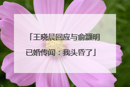 王晓晨回应与俞灏明已婚传闻：我头昏了