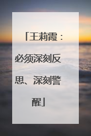 王莉霞：必须深刻反思、深刻警醒