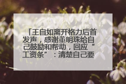 王自如离开格力后首发声，感谢董明珠给自己鼓励和帮助，回应“工资条”：清楚自己要什么，工资条不重要