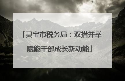灵宝市税务局：双措并举 赋能干部成长新动能