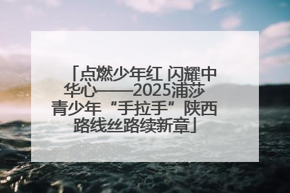 点燃少年红 闪耀中华心——2025浦莎青少年“手拉手”陕西路线丝路续新章