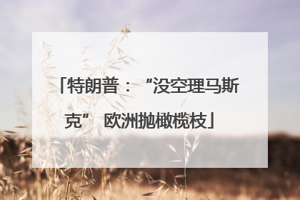 特朗普：“没空理马斯克” 欧洲抛橄榄枝