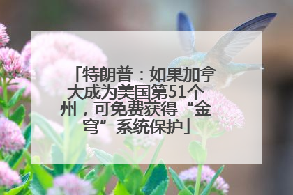 特朗普：如果加拿大成为美国第51个州，可免费获得“金穹”系统保护