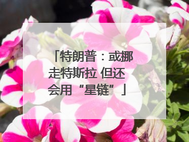 特朗普：或挪走特斯拉 但还会用“星链”