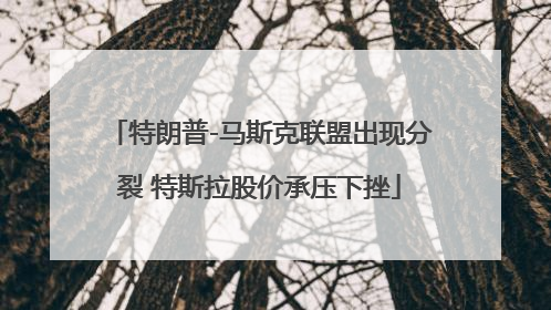 特朗普-马斯克联盟出现分裂 特斯拉股价承压下挫