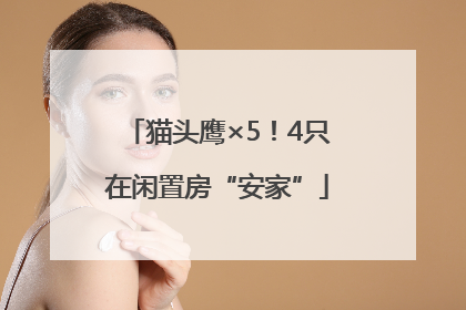 猫头鹰×5！4只在闲置房“安家”