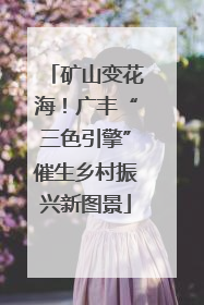 矿山变花海！广丰“三色引擎”催生乡村振兴新图景
