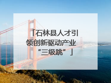 石林县人才引领创新驱动产业“三级跳”