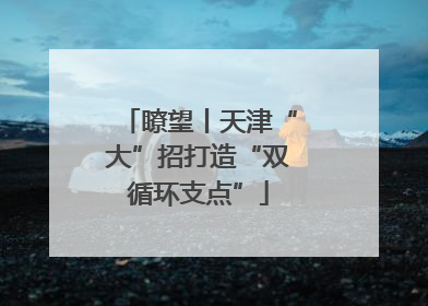 瞭望丨天津“大”招打造“双循环支点”