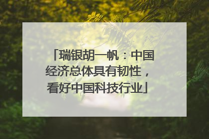 瑞银胡一帆：中国经济总体具有韧性，看好中国科技行业