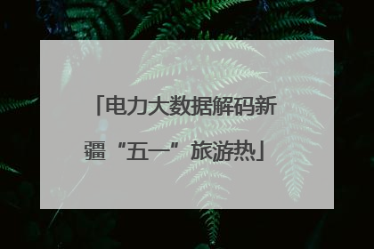 电力大数据解码新疆“五一”旅游热