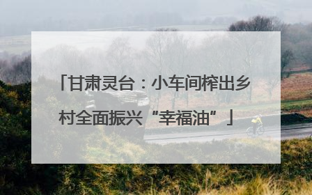 甘肃灵台：小车间榨出乡村全面振兴“幸福油”