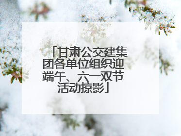 甘肃公交建集团各单位组织迎端午、六一双节活动掠影