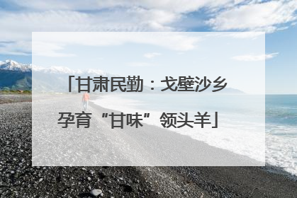 甘肃民勤：戈壁沙乡孕育“甘味”领头羊