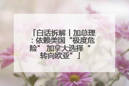 白话拆解丨加总理：依赖美国“极度危险” 加拿大选择“转向欧亚”