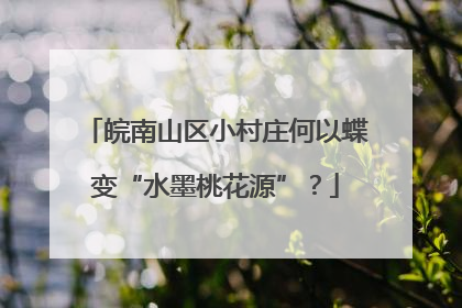 皖南山区小村庄何以蝶变“水墨桃花源”？