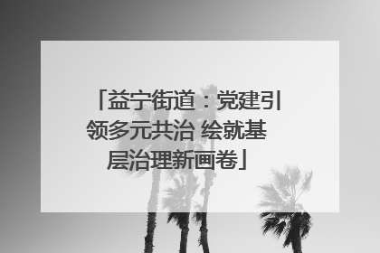 益宁街道：党建引领多元共治 绘就基层治理新画卷