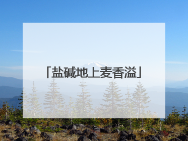盐碱地上麦香溢