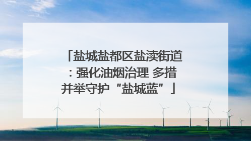 盐城盐都区盐渎街道：强化油烟治理 多措并举守护“盐城蓝”