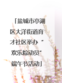 盐城市亭湖区大洋街道育才社区举办“欢乐粽动员”端午节活动