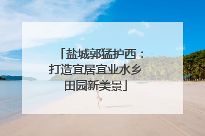 盐城郭猛护西：打造宜居宜业水乡田园新美景