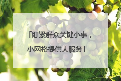 盯紧群众关键小事，小网格提供大服务