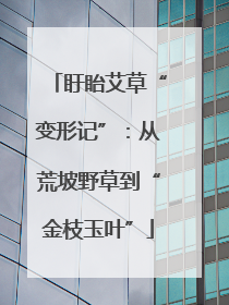 盱眙艾草“变形记”：从荒坡野草到“金枝玉叶”
