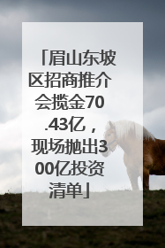眉山东坡区招商推介会揽金70.43亿，现场抛出300亿投资清单