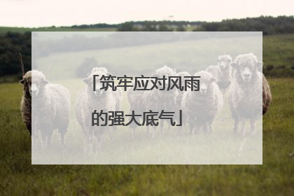 筑牢应对风雨的强大底气