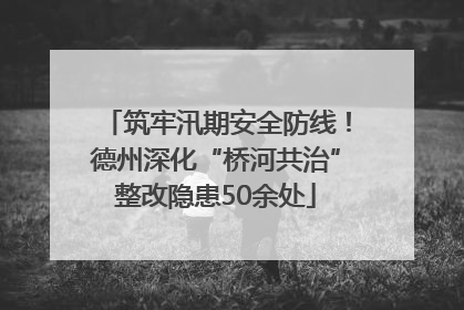 筑牢汛期安全防线！德州深化“桥河共治”整改隐患50余处