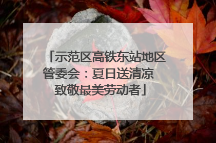 示范区高铁东站地区管委会：夏日送清凉 致敬最美劳动者