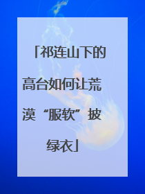 祁连山下的高台如何让荒漠“服软”披绿衣