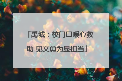 禹城：校门口暖心救助 见义勇为显担当
