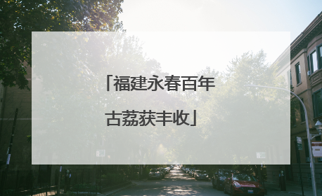福建永春百年古荔获丰收