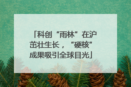 科创“雨林”在沪茁壮生长，“硬核”成果吸引全球目光