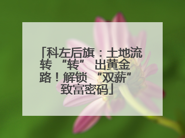 科左后旗：土地流转 “转” 出黄金路！解锁 “双薪” 致富密码