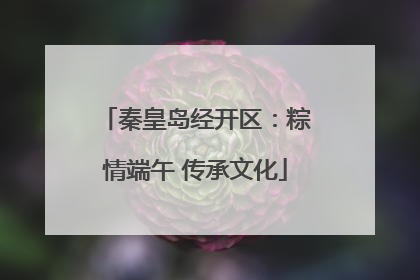 秦皇岛经开区：粽情端午 传承文化